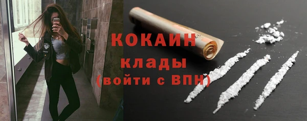 mdpv Бородино