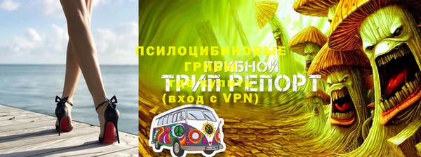 mdpv Бородино