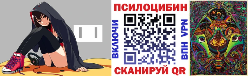 Галлюциногенные грибы мицелий ссылка на мегу как войти Черноголовка